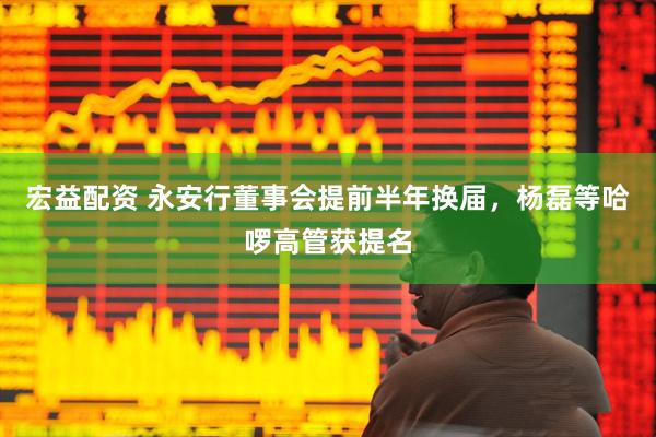 宏益配资 永安行董事会提前半年换届，杨磊等哈啰高管获提名