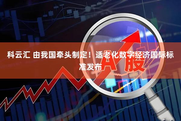 科云汇 由我国牵头制定！适老化数字经济国际标准发布