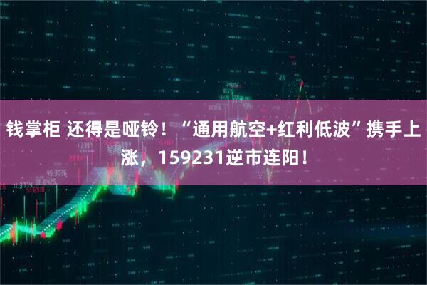 钱掌柜 还得是哑铃！“通用航空+红利低波”携手上涨，159231逆市连阳！