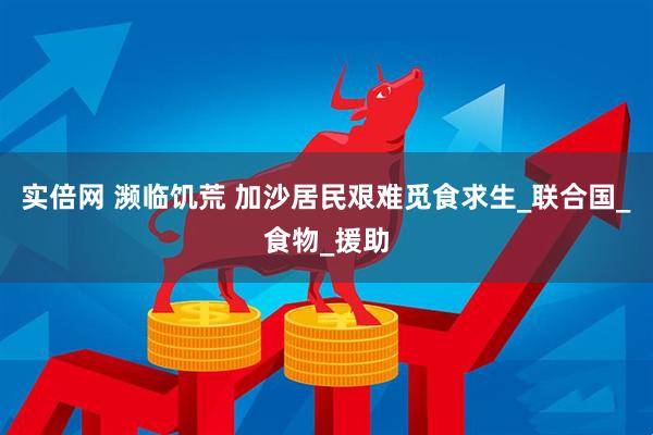 实倍网 濒临饥荒 加沙居民艰难觅食求生_联合国_食物_援助