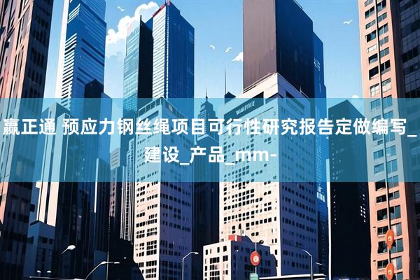 赢正通 预应力钢丝绳项目可行性研究报告定做编写_建设_产品_mm-