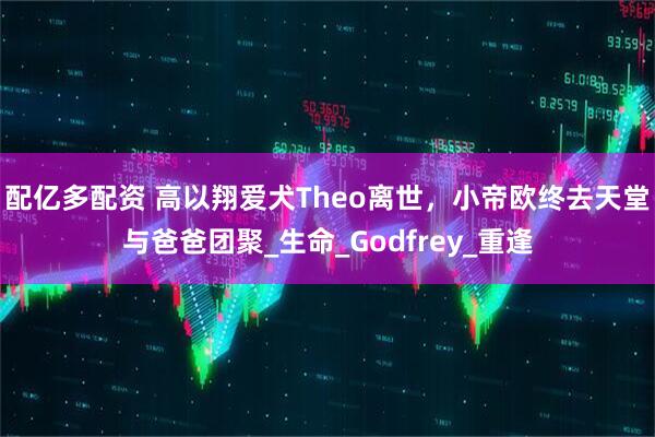 配亿多配资 高以翔爱犬Theo离世，小帝欧终去天堂与爸爸团聚_生命_Godfrey_重逢