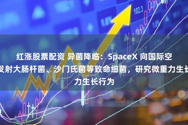 红涨股票配资 异菌降临：SpaceX 向国际空间站发射大肠杆菌、沙门氏菌等致命细菌，研究微重力生长行为