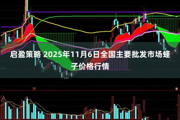 启盈策略 2025年11月6日全国主要批发市场蛏子价格行情